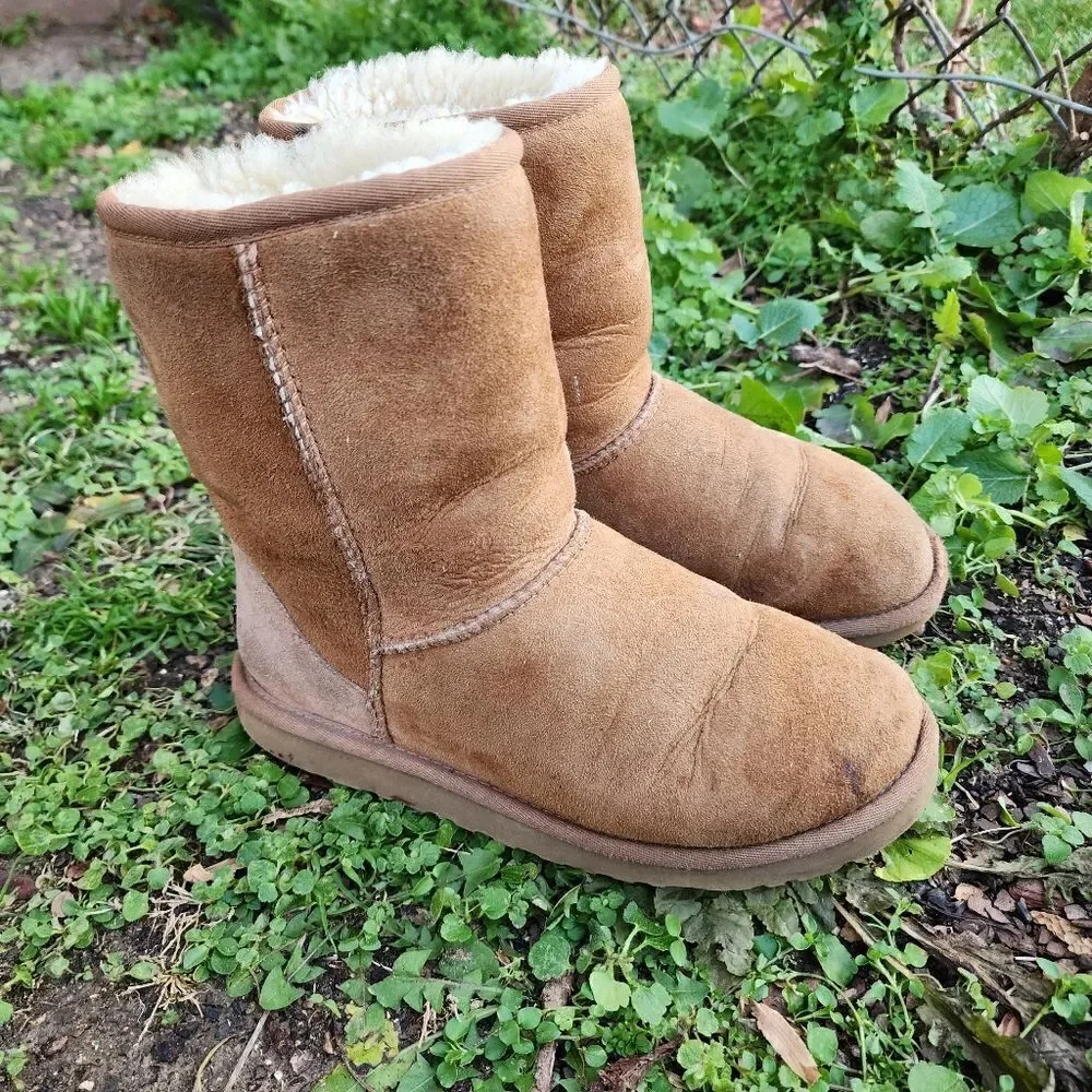 UGG AUSTRALIA - Womens Winter Boots - SIZE 6